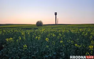 У Смаргоні работніцу фермы асудзілі за забруджванне земляў У Смаргоні работніцу фермы асудзілі за забруджванне земляў