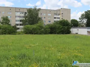 Репина участок дом